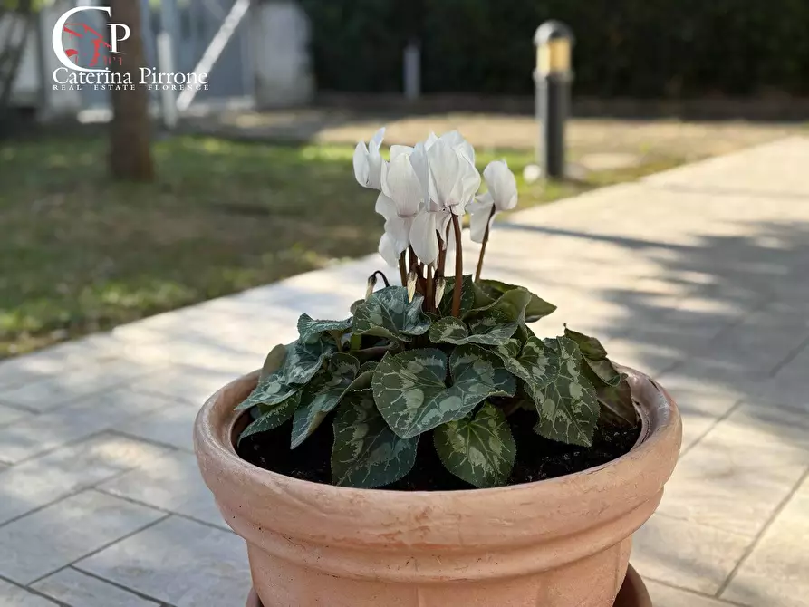 Immagine 26 di Villa in vendita  in via Carlo Ginori 10 a Cecina