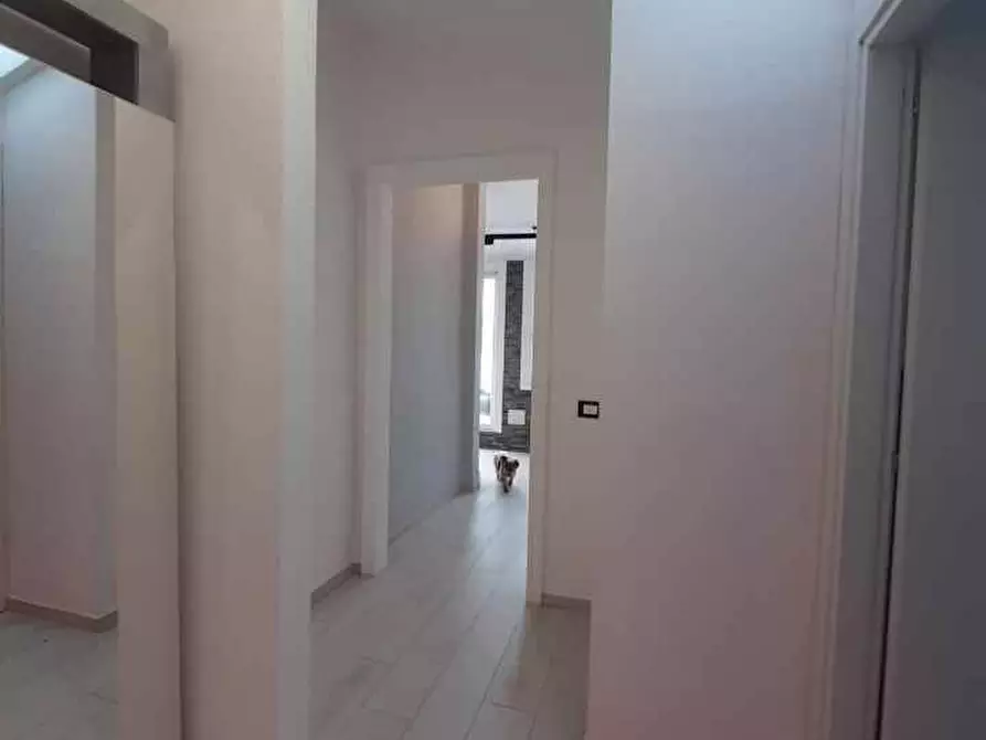 Immagine 23 di Attico in vendita  in Viale della Vittoria 10 a Cecina