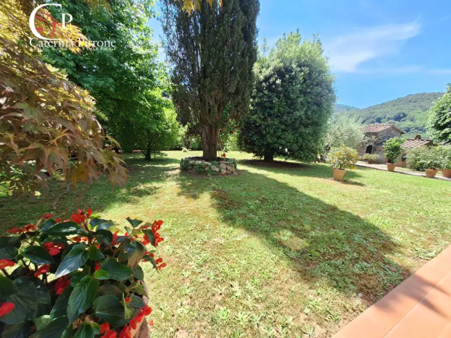 Immagine 22 di Villa in vendita  in via Roma 10 a Pescaglia