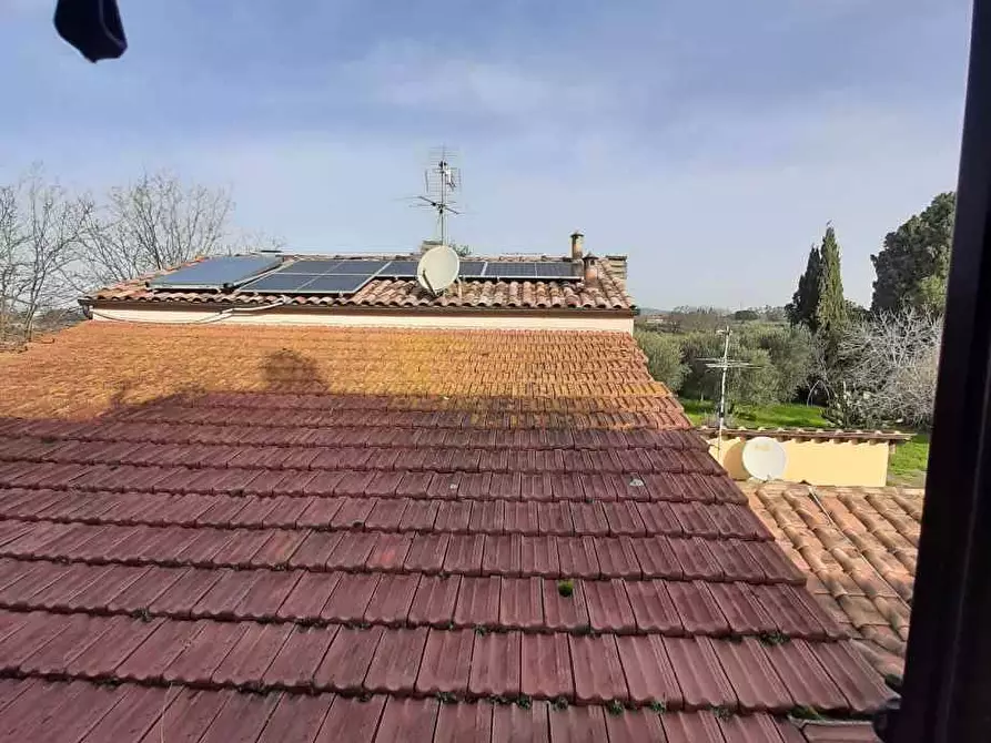 Immagine 16 di Appartamento in vendita  in Stradone del Lupo 11 a Rosignano Marittimo