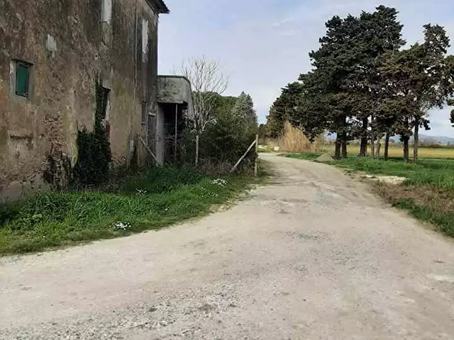 Immagine 6 di Appartamento in vendita  in Via del Tripesce 10 a Rosignano Marittimo