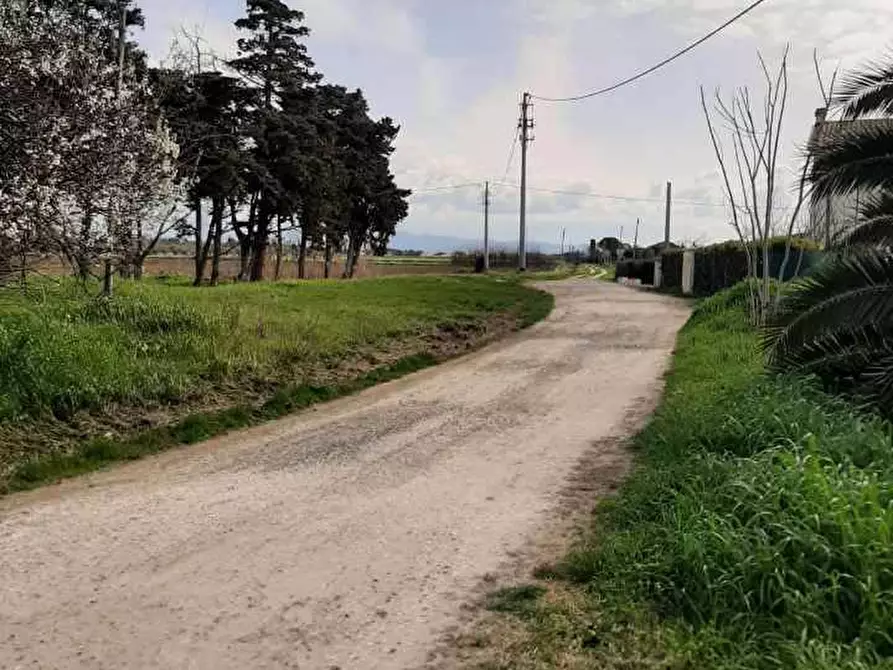 Immagine 25 di Appartamento in vendita  in Via del Tripesce 10 a Rosignano Marittimo