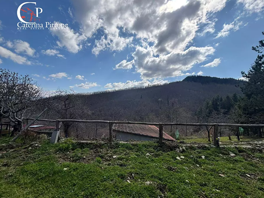 Immagine 5 di Rustico / casale in vendita  in strada vicinale della Villa snc a Pratovecchio Stia