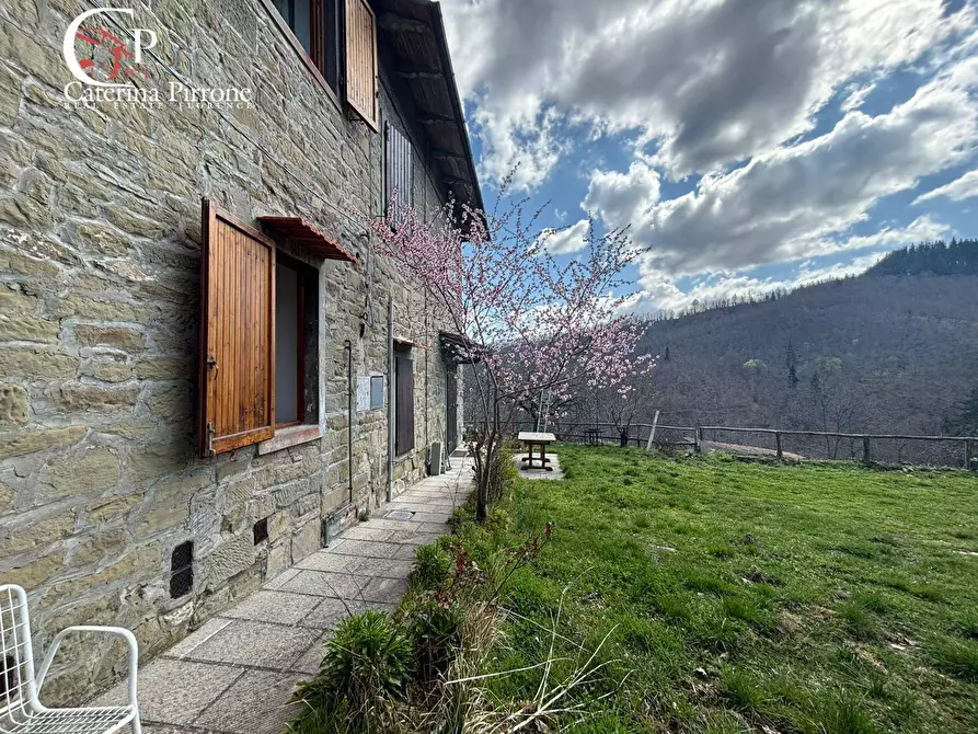 Immagine 4 di Rustico / casale in vendita  in strada vicinale della Villa snc a Pratovecchio Stia