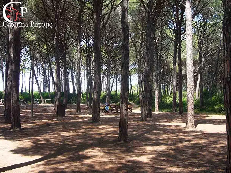 Immagine 5 di Appartamento in vendita  in Via Veneto 5 a Rosignano Marittimo