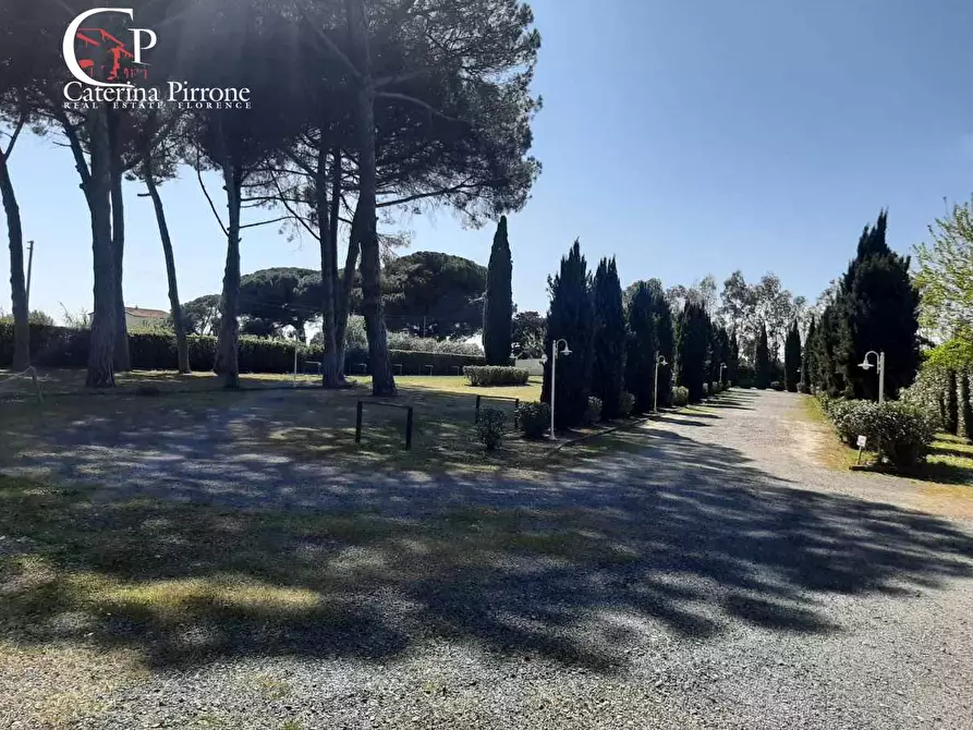 Immagine 29 di Appartamento in vendita  in Stradone del Belvedere 3 a Rosignano Marittimo