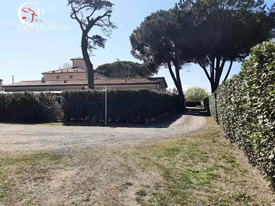 Immagine 31 di Appartamento in vendita  in Stradone del Belvedere 3 a Rosignano Marittimo