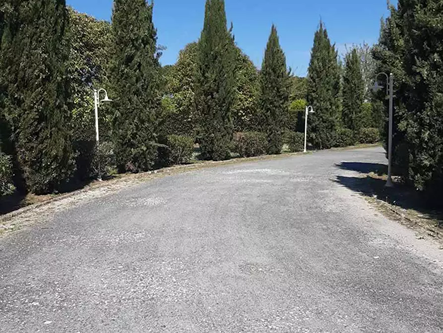 Immagine 36 di Appartamento in vendita  in Stradone del Belvedere 3 a Rosignano Marittimo