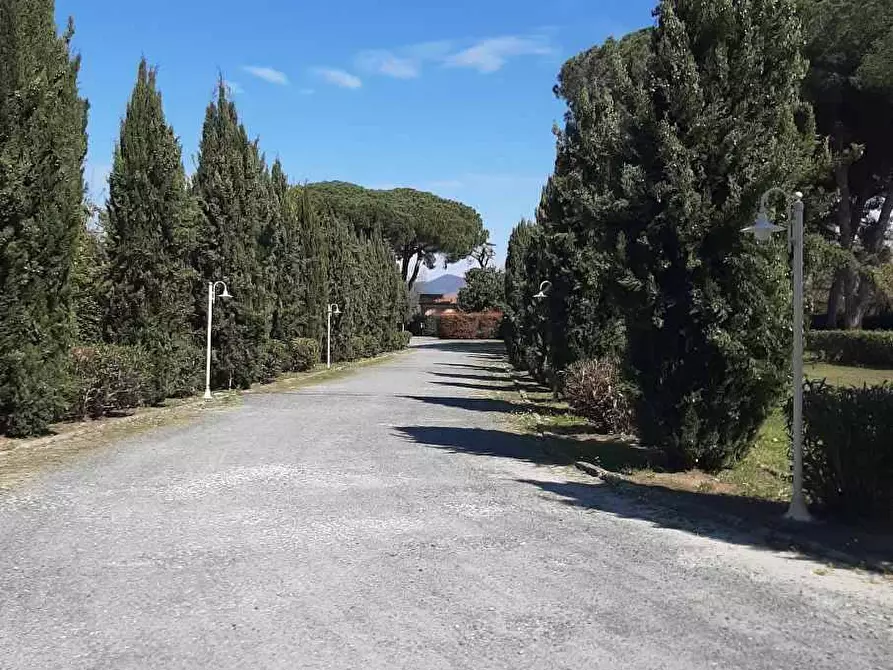 Immagine 37 di Appartamento in vendita  in Stradone del Belvedere 3 a Rosignano Marittimo