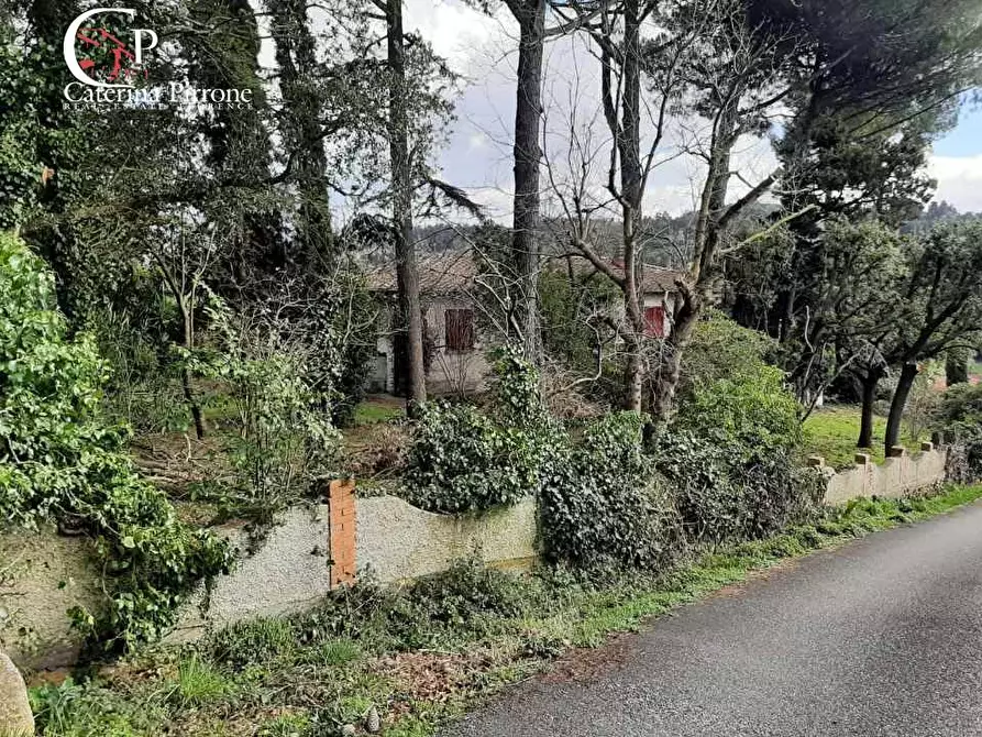 Immagine 16 di Villa in vendita  in Via delle Mandriacce 15 a Casale Marittimo