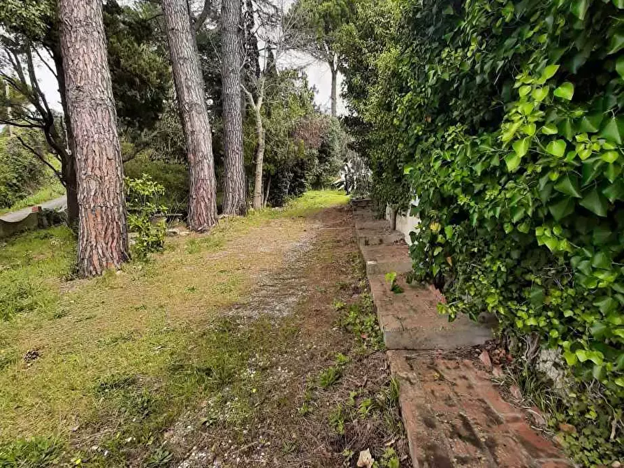 Immagine 17 di Villa in vendita  in Via delle Mandriacce 15 a Casale Marittimo