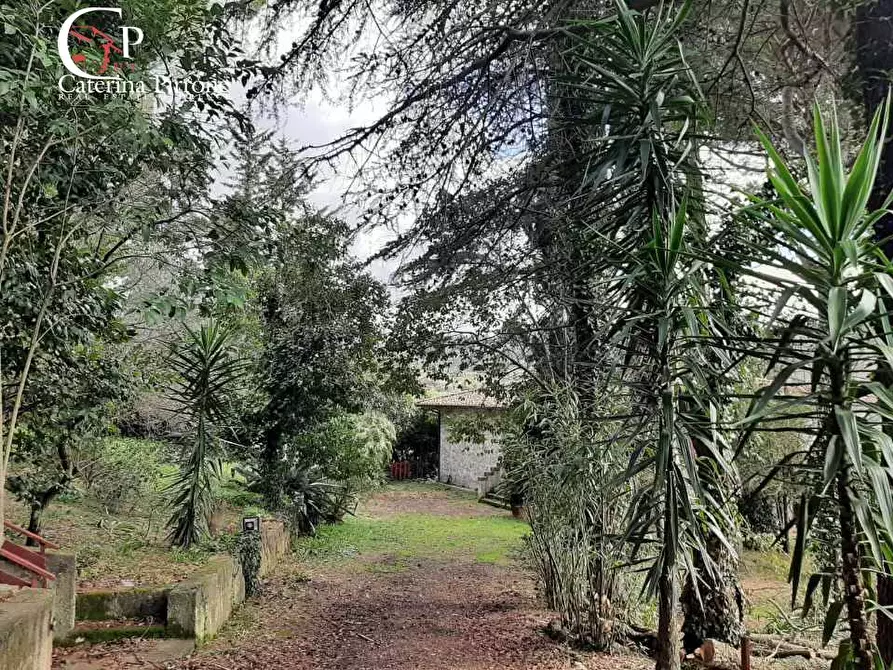 Immagine 18 di Villa in vendita  in Via delle Mandriacce 15 a Casale Marittimo