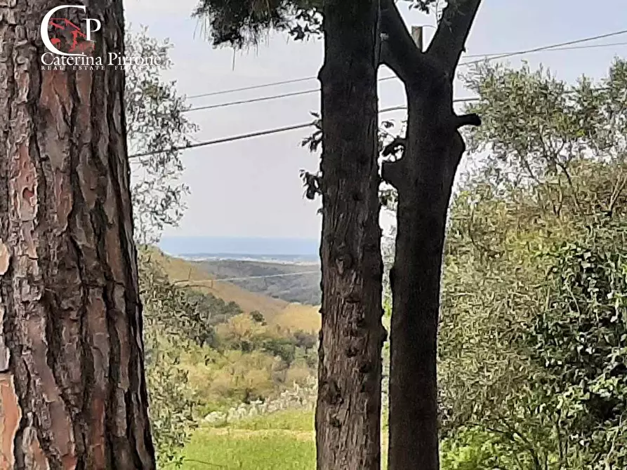 Immagine 6 di Villa in vendita  in Via delle Mandriacce 15 a Casale Marittimo