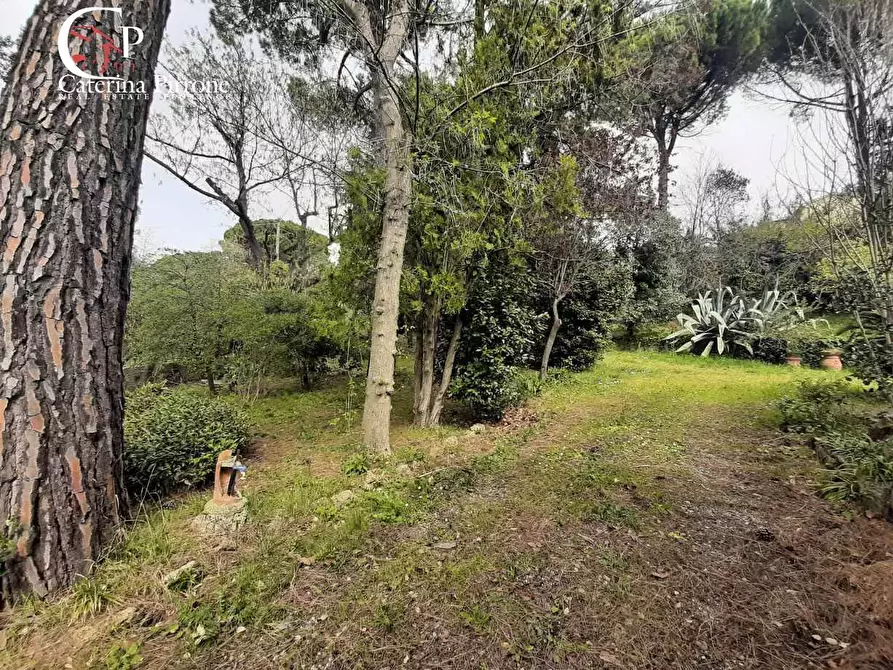 Immagine 4 di Villa in vendita  in Via delle Mandriacce 15 a Casale Marittimo