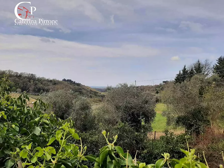 Immagine 52 di Villa in vendita  in Via delle Mandriacce 15 a Casale Marittimo