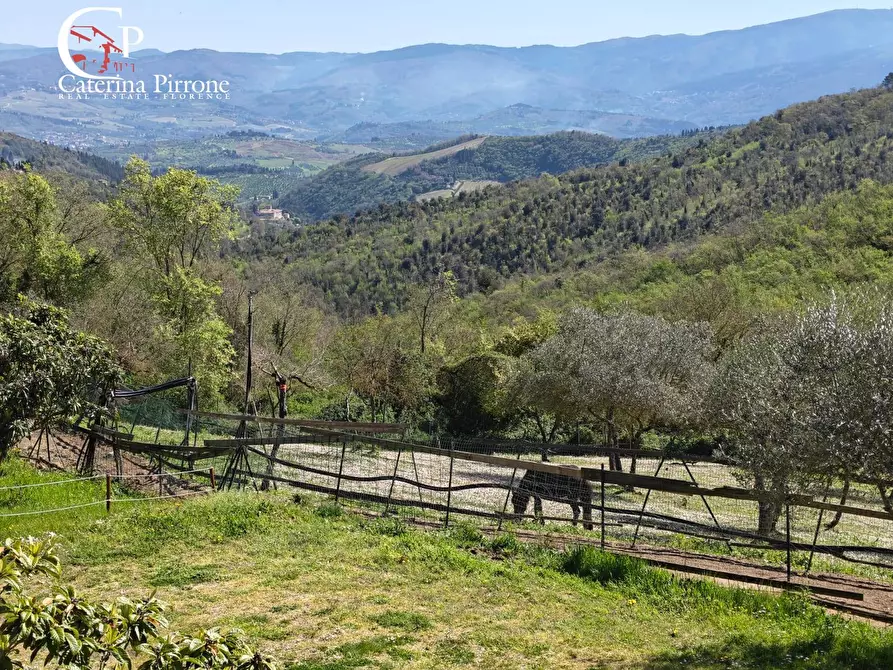 Immagine 36 di Rustico / casale in vendita  in via Bencistà Gorioli 10 a Bagno A Ripoli