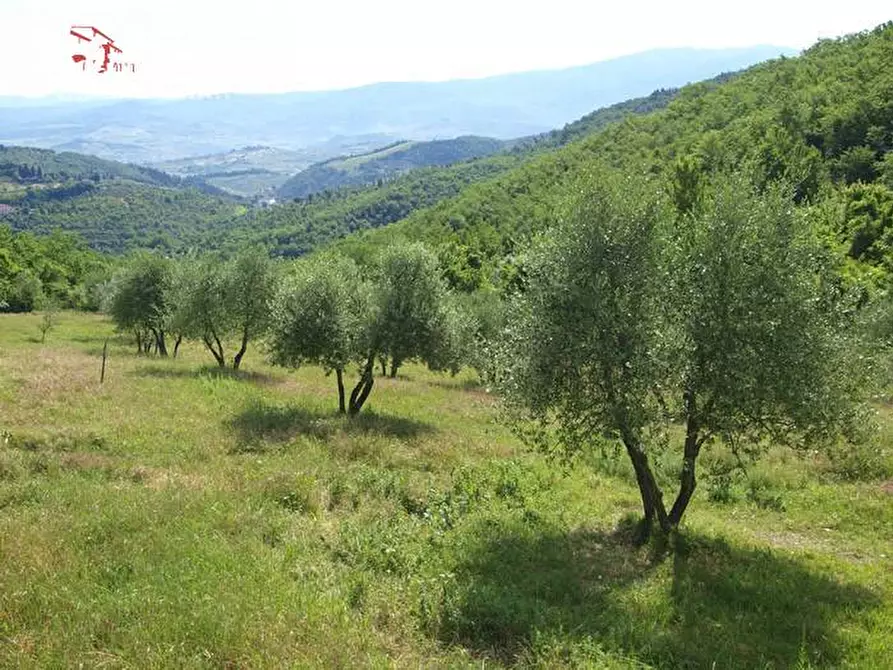 Immagine 39 di Rustico / casale in vendita  in via Bencistà Gorioli 10 a Bagno A Ripoli