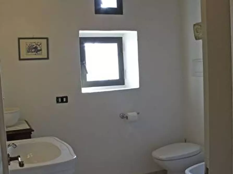 Immagine 61 di Rustico / casale in vendita  in via Bencistà Gorioli 10 a Bagno A Ripoli