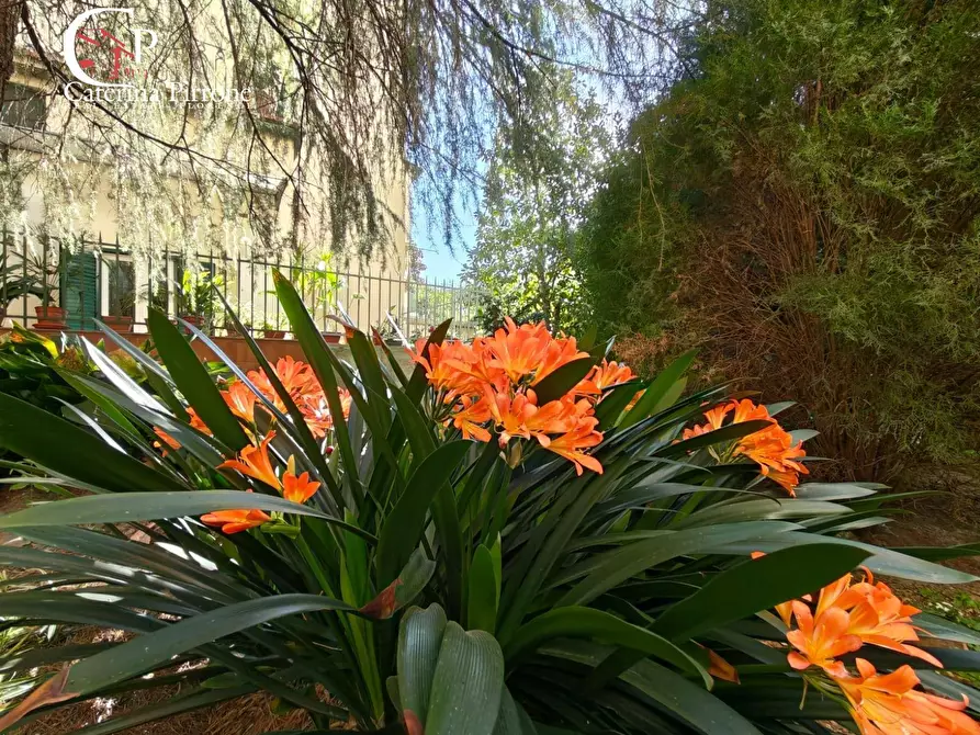Immagine 4 di Casa indipendente in vendita  in via San Zanobi 10 a Firenze
