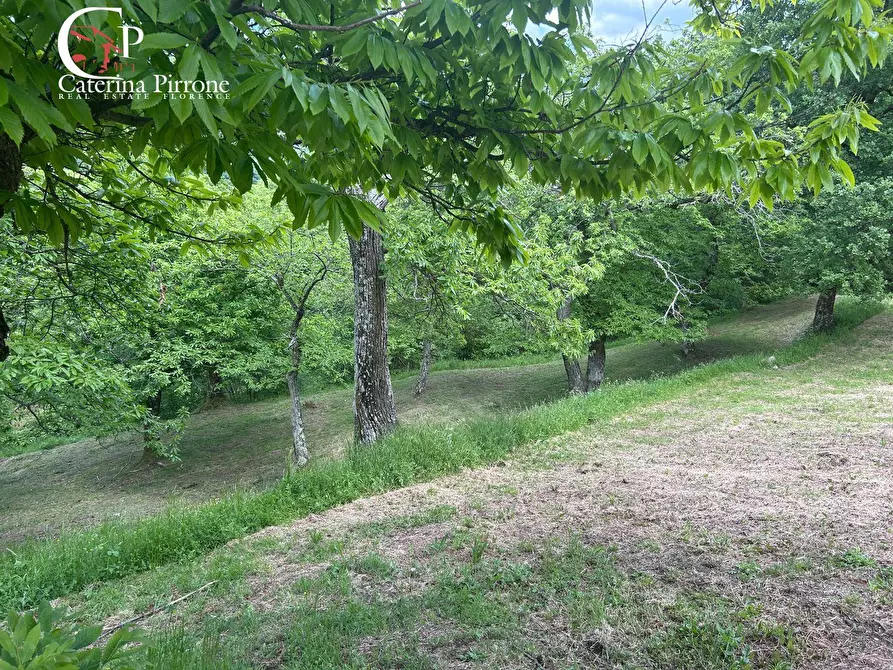 Immagine 7 di Rustico / casale in vendita  in località Caprile snc a Londa