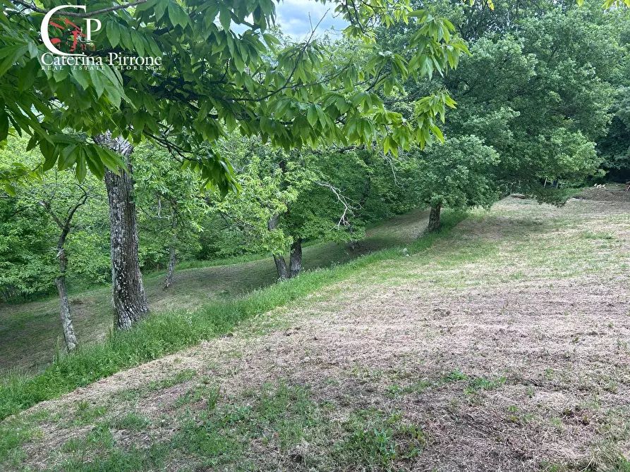 Immagine 8 di Rustico / casale in vendita  in località Caprile snc a Londa