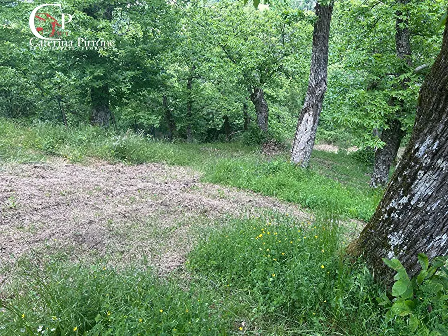 Immagine 10 di Rustico / casale in vendita  in località Caprile snc a Londa