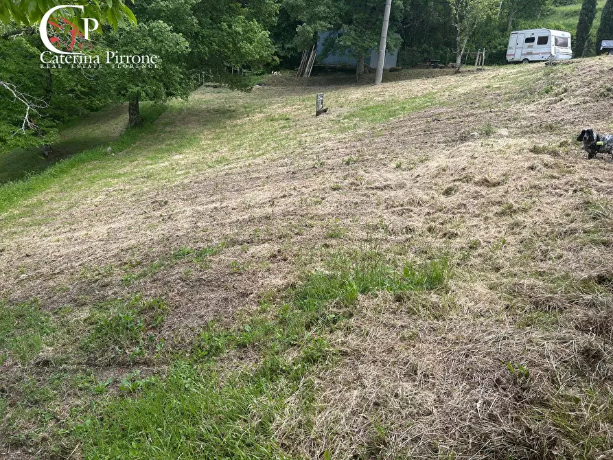 Immagine 3 di Rustico / casale in vendita  in località Caprile snc a Londa