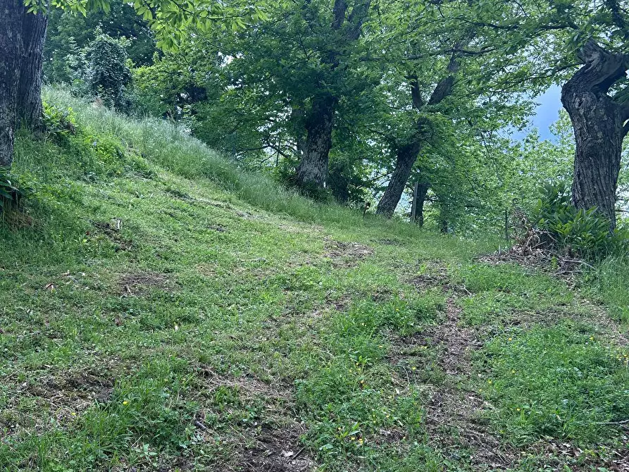 Immagine 11 di Rustico / casale in vendita  in località Caprile snc a Londa