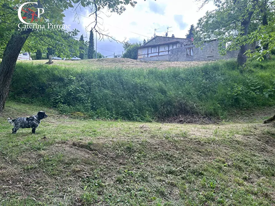 Immagine 1 di Rustico / casale in vendita  in località Caprile snc a Londa