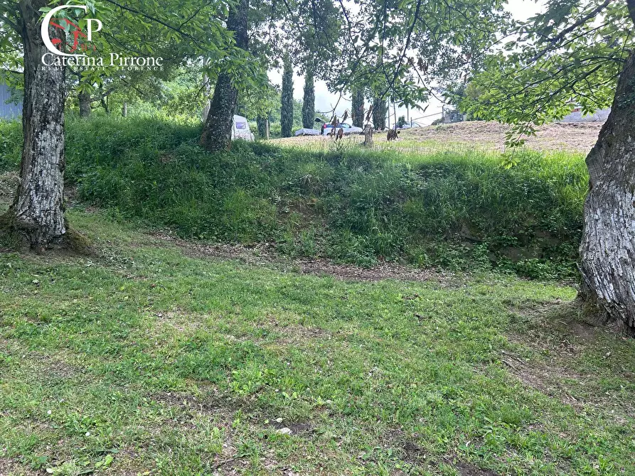 Immagine 2 di Rustico / casale in vendita  in località Caprile snc a Londa