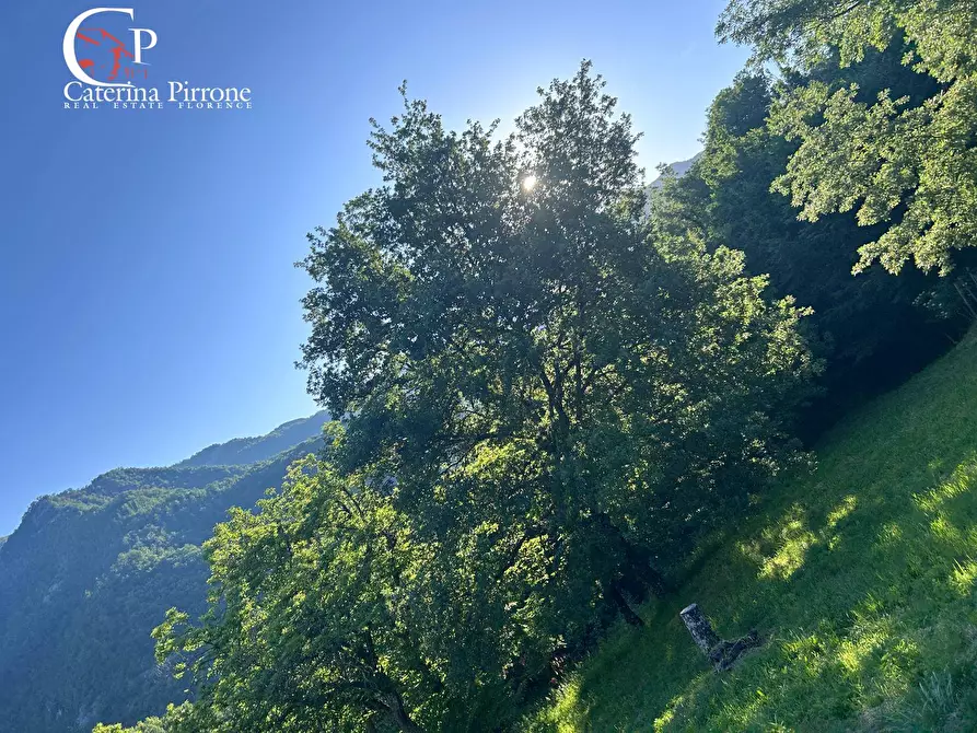 Immagine 13 di Rustico / casale in vendita  in località Caprile snc a Londa