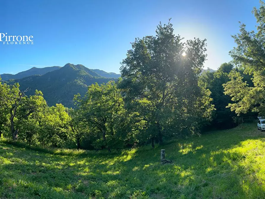 Immagine 4 di Rustico / casale in vendita  in località Caprile snc a Londa