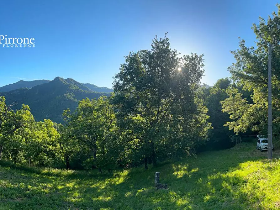 Immagine 14 di Rustico / casale in vendita  in località Caprile snc a Londa