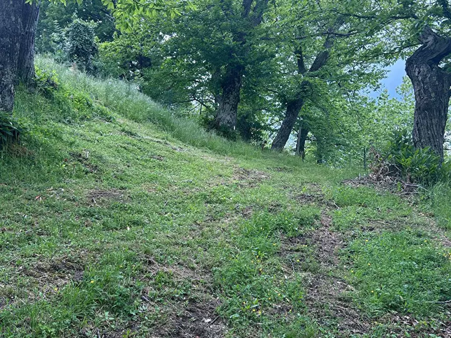 Immagine 15 di Rustico / casale in vendita  in località Caprile snc a Londa