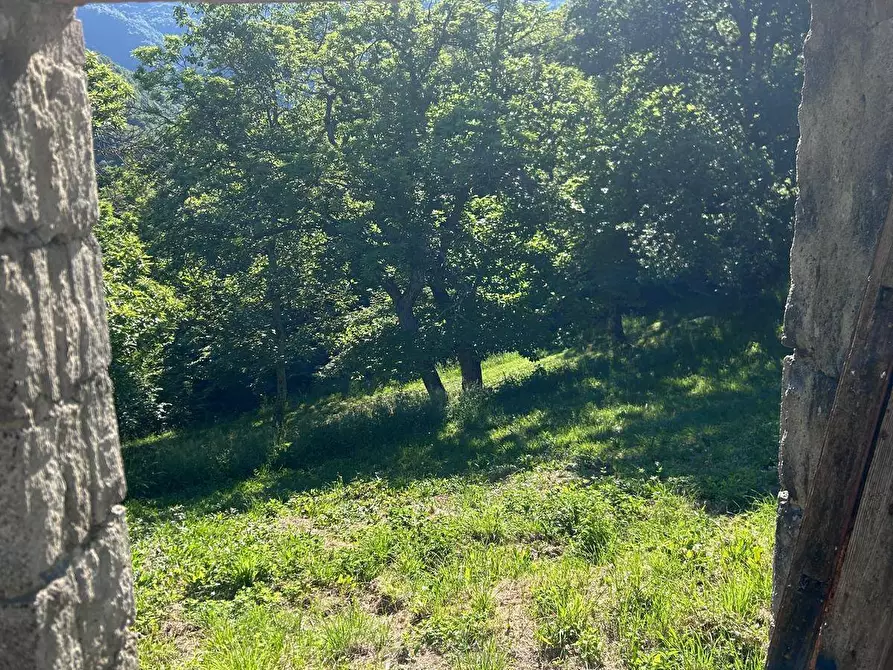 Immagine 5 di Rustico / casale in vendita  in località Caprile snc a Londa