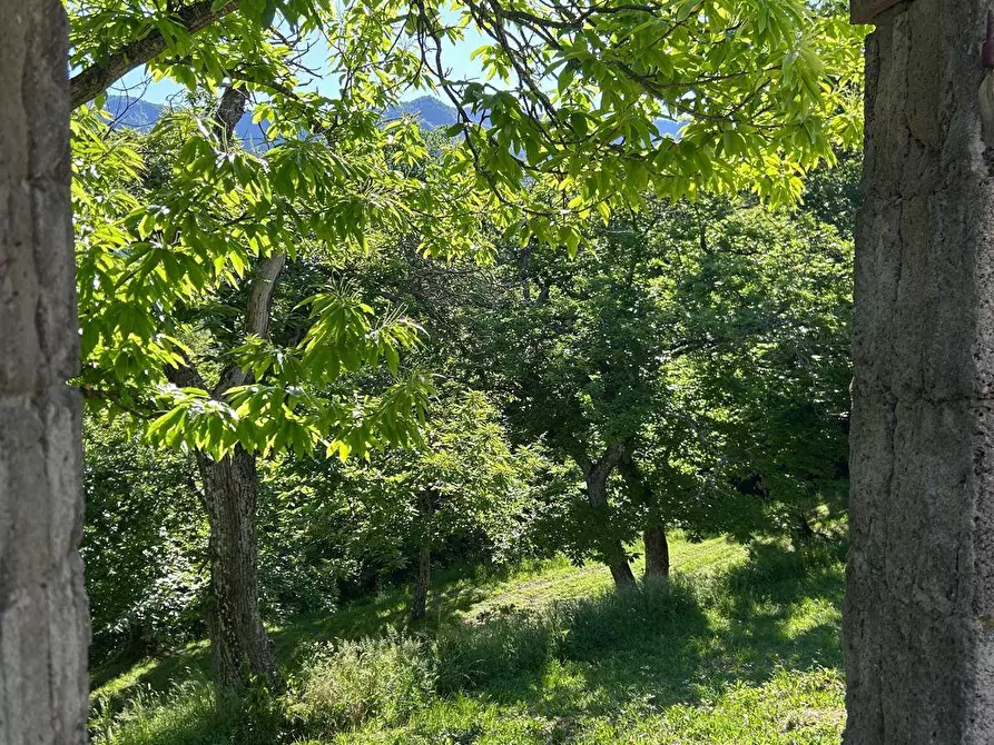 Immagine 6 di Rustico / casale in vendita  in località Caprile snc a Londa