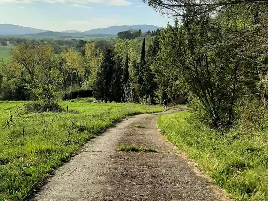 Immagine 40 di Rustico / casale in vendita  in via Fontevecchia snc a Casale Marittimo