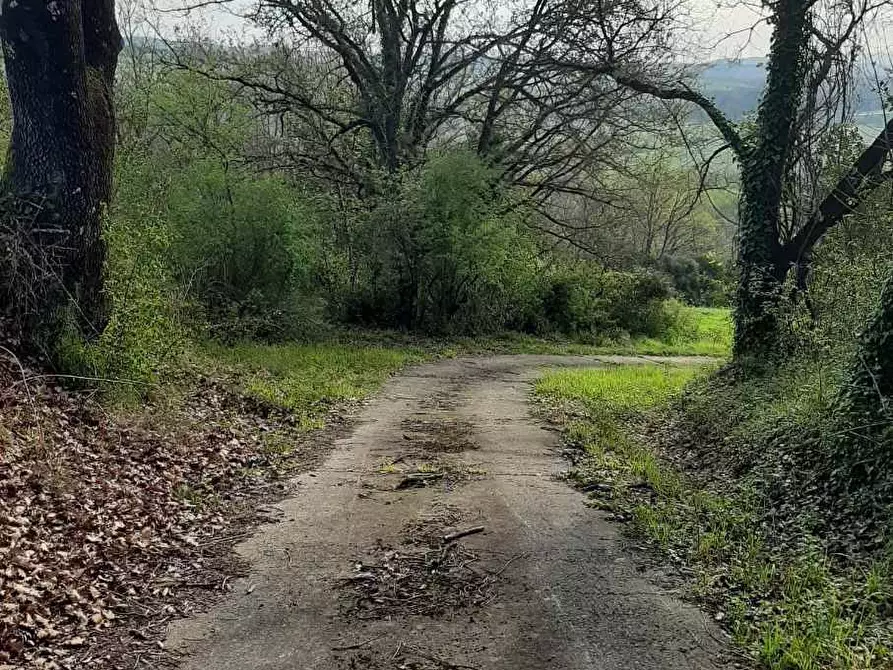 Immagine 39 di Rustico / casale in vendita  in via Fontevecchia snc a Casale Marittimo