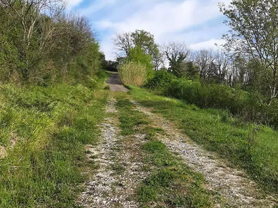 Immagine 42 di Rustico / casale in vendita  in via Fontevecchia snc a Casale Marittimo