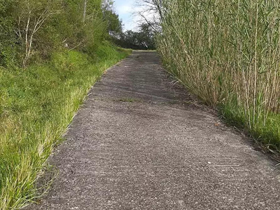 Immagine 43 di Rustico / casale in vendita  in via Fontevecchia snc a Casale Marittimo
