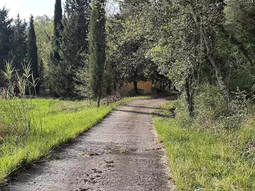 Immagine 44 di Rustico / casale in vendita  in via Fontevecchia snc a Casale Marittimo
