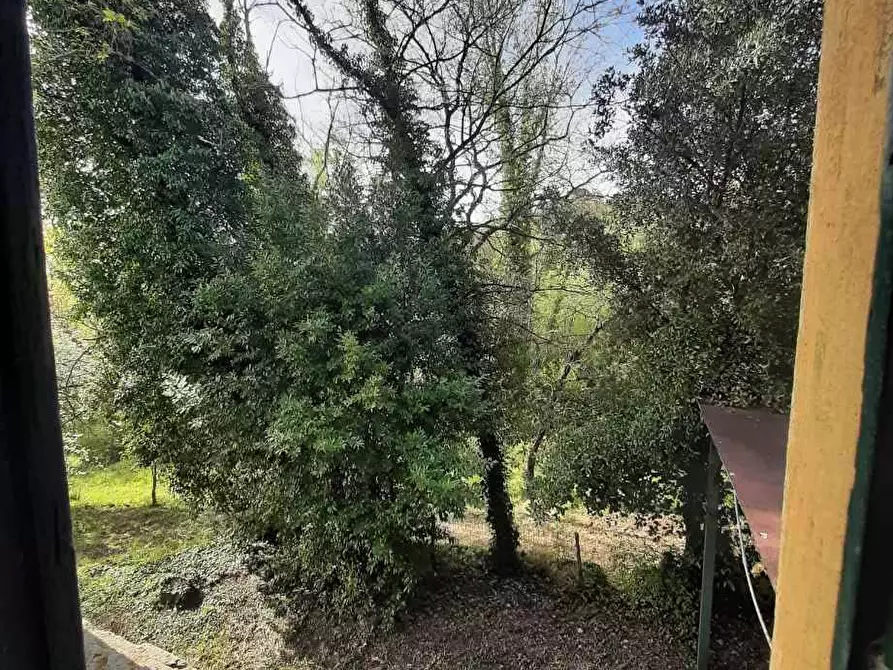 Immagine 11 di Rustico / casale in vendita  in via Fontevecchia snc a Casale Marittimo