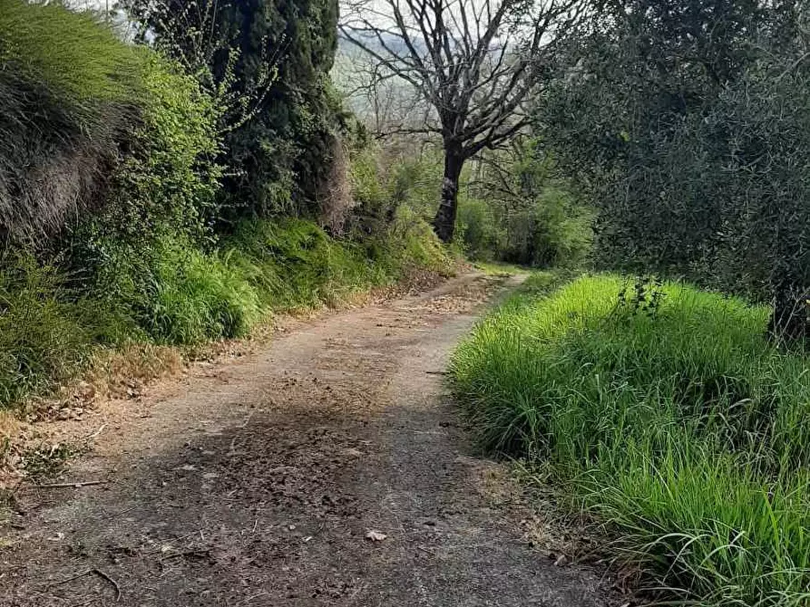 Immagine 45 di Rustico / casale in vendita  in via Fontevecchia snc a Casale Marittimo