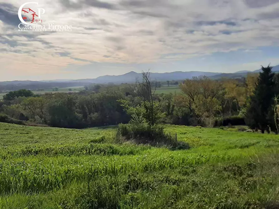 Immagine 46 di Rustico / casale in vendita  in via Fontevecchia snc a Casale Marittimo