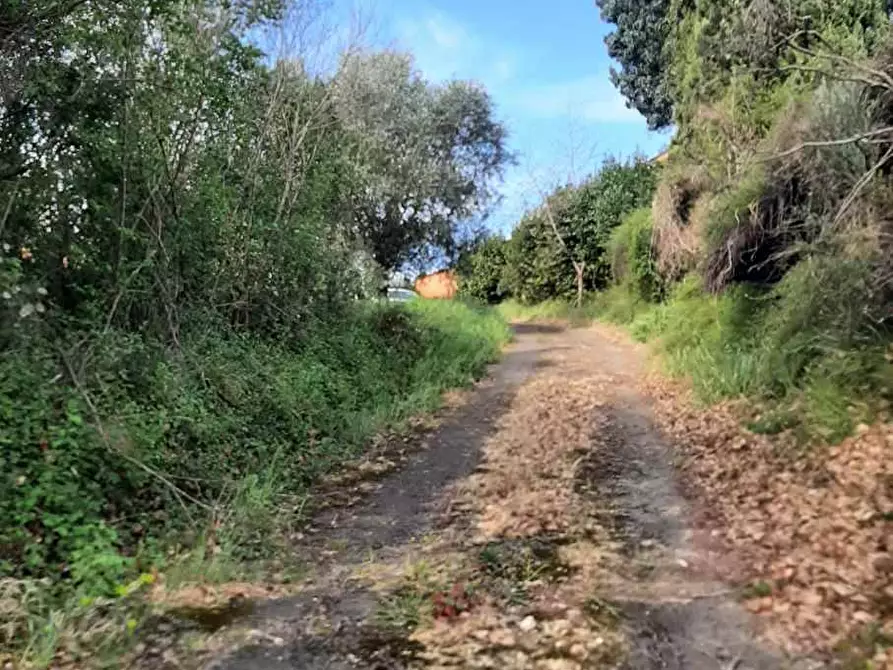 Immagine 47 di Rustico / casale in vendita  in via Fontevecchia snc a Casale Marittimo