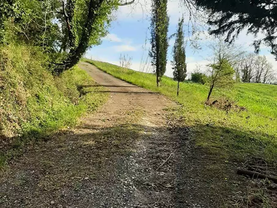 Immagine 48 di Rustico / casale in vendita  in via Fontevecchia snc a Casale Marittimo