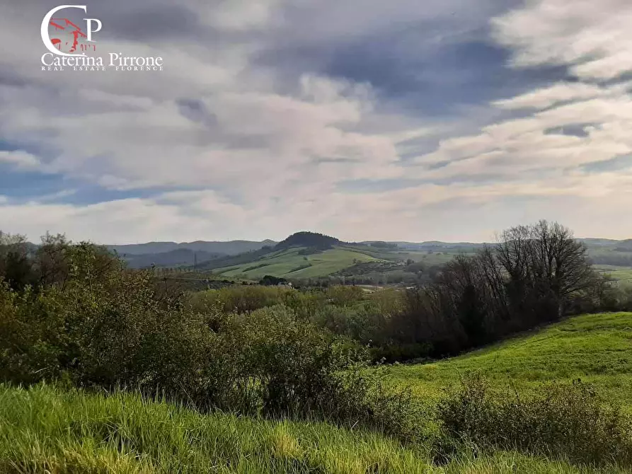 Immagine 49 di Rustico / casale in vendita  in via Fontevecchia snc a Casale Marittimo