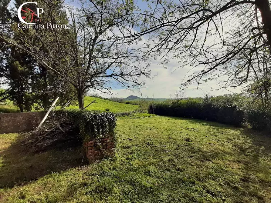 Immagine 14 di Rustico / casale in vendita  in via Fontevecchia snc a Casale Marittimo