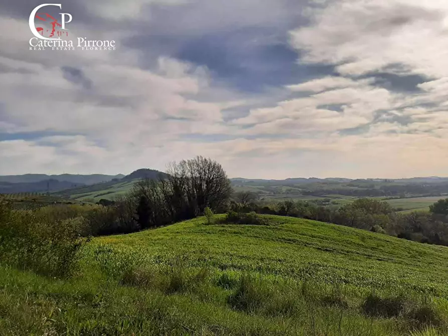 Immagine 51 di Rustico / casale in vendita  in via Fontevecchia snc a Casale Marittimo