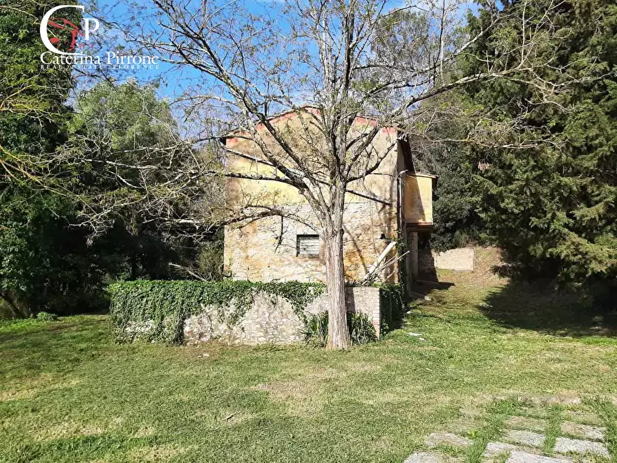 Immagine 4 di Rustico / casale in vendita  in via Fontevecchia snc a Casale Marittimo